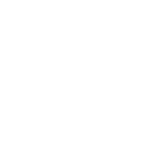 Alo Yoga